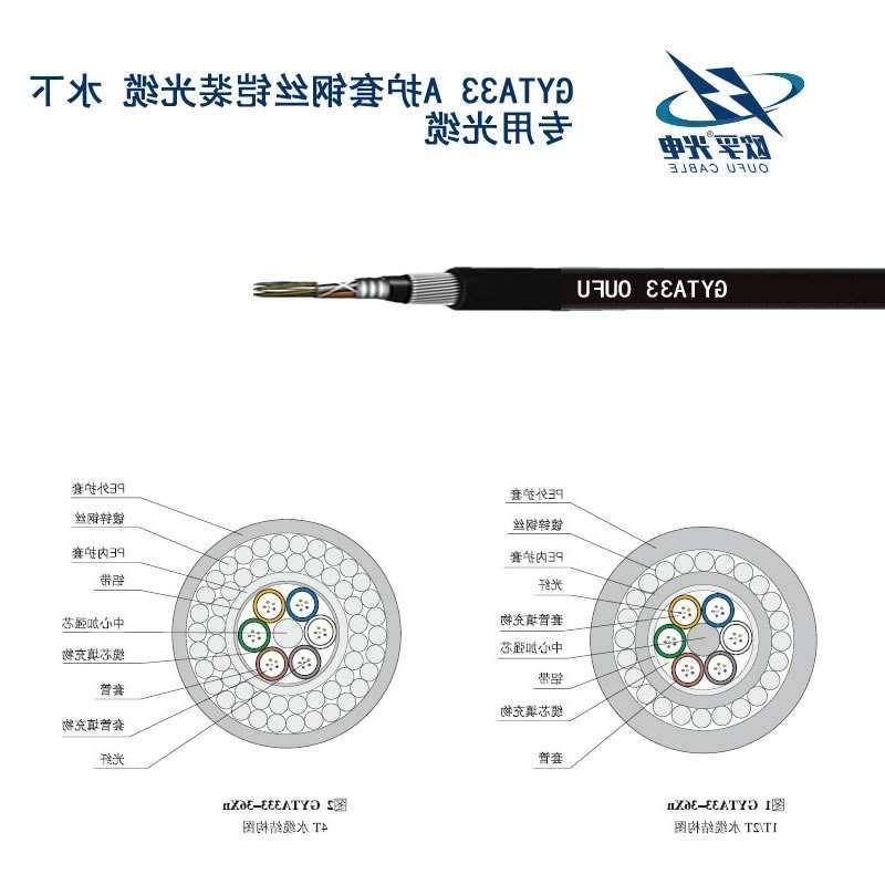 大理白族自治州GYTA33光缆