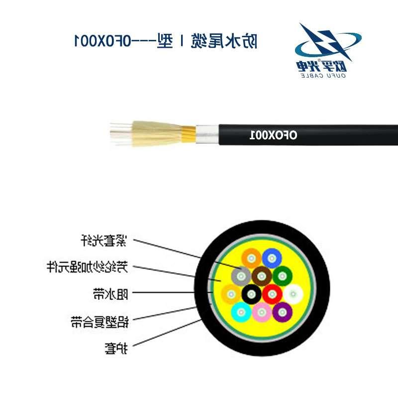 大理白族自治州防水尾缆Ⅰ型